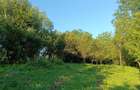 Casa noua cu teren de 3278mp Glodeni Vale-Pucioasa - 12