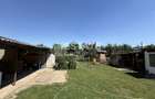 Casa Sandrei , teren 1414 mp, strada asfaltata - 3
