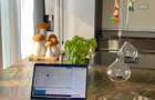 Apartament UNIC - WINGS Cluj-Napoca - 9