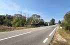 CASĂ ȘI 1.672 MP TEREN LA STRADA PRINCIPALĂ – POJOGENI, TG-CĂRBUNEȘTI - 9