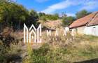 Casă de vânzare 3 camere | Ocna Sibiului | teren 1.010 mp - 14