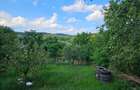 Casă individuală în Hapria | 90 mp utili | Teren 940 mp|Zonă liniștită - 2