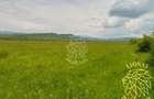 Teren 13100 mp-parcelabil-ideal cabana/agricultura-Orheiul Bistritei - 1