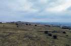 Teren agricol extravilan de vânzare – 67.500 mp – Dealul Daii, Sibiu - 5