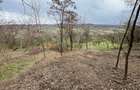 Mihaesti - Sat Draghici, teren intravilan, 7.280 mp