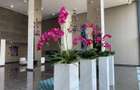 Apartament exclusivist cu vedere panoramică în Floreasca - 6