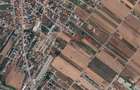 Teren Extravilan In Rate Primaverii Com. Berceni | 5491mp | #EG42 - 3