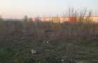 Vanzare teren 13000 mp Baneasa - Soseaua Odai - 4