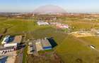 Teren 10,000mp Arad / DJ 682 - 5
