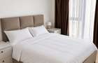 Apart 2 camere 61m2 | Nusco City 1 - Aviatiei | Metrou Aurel Vlaicu - Promenada - 6