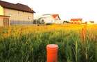 Vanzare Teren intravilan, construibil, 523 mp, Viforata - Targoviste Exterior No - 3