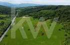 Teren de vânzare – 4.000 mp la intrare in Bradu, județul Sibiu - 2