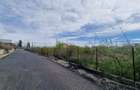 2 Loturi Teren Intravilan 1500 MP Tartasesti Deschidere 30 M / 36 M Utilitati - 4