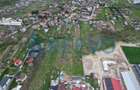 Teren de vânzare Barați, Bacău - 3