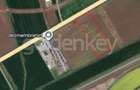 Teren 10.000 mp Constanta - Valu Traian - 1