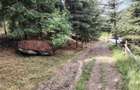 Casa de vacanta nefinalizata (Gheorgheni, zona Magasbukk, km 5) - 22