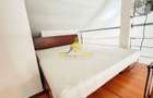 1 camera, loft, modern, proaspat renovat, curte, Grigorescu, Donath - 11