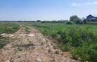 Teren intravilan la intrare în Vetiș – 12.216 mp - 6
