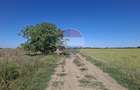 Vanzare teren extravilan 5.000mp - Pantelimon - 4