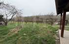 Casă cu 2 camere și un teren de 1000 mp - 11