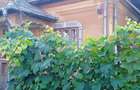 Casa comuna Giubega 45km craiova - 8