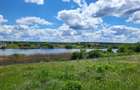 LA 20 DE MINUTE DE BUCURESTI LA SNAGOV /TANCABESTI DESCHISERE  LAC - 2