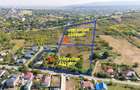 Teren intravilan | 4.920 mp | Balciu, Miroslava - 1
