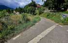 Teren 600mp Viisoara / Strada Primaverii - 17