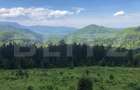 De vanzare, teren intravilan 5.500mp, Predeal - 2