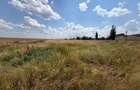 Teren 9.976 mp cu proiect aprobat parc fotovoltaic 1,4 MW, Bucovăț - 2
