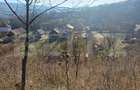 Casa + 20 arii  teren, distanta  30 km de Bistrita - 9