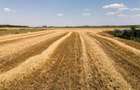 RECO Teren industrial in Nojorid la doar 6km de Oradea - 8