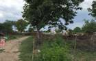 REL4000117 Teren Ciolpani - Piscu - loturi intre 968 mp si 974 mp - 1