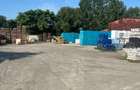 Halǎ industrialǎ + platformǎ betonatǎ, zona Sud - 9