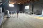 Spatiu comercial de inchiriat doua incaperi de 110 mpu zona Turnisor - 4