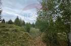 Teren extravilan parcelabil Călățele Pădure, zona Dealu Negru - 8