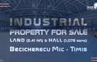 Proprietate Industrială de Vânzare (Hală & Teren) - Becicherecu Mic, Timiș - 1