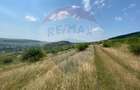 Teren Intravilan | Investitie | Baciu | Comision 0% - 5