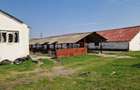 Fermă de vânzare 8 ha – Balș, județul Olt - 2