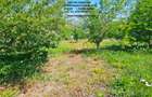 Teren intre case, zona Fermelor - 4