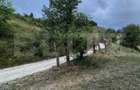 Teren intravilan de 1585 mp, Campeni - 5