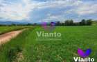 Teren Extravilan 500mp-Zona Turnisor - 2