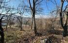 Teren intravilan de vanzare, 17700 mp Zalau - 1