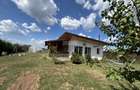 Căsuța din livadă, Snagov (Ilfov) | 4 dormitoare, 1.000 mp teren