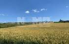TEREN INTRAVILAN – SF. ILIE| SUCEAVA | 3.500 €/ar - 1
