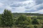 4 ha Drăghici–Mihăești | 3 ha teren + 1 ha pădure | asfalt |toate utilitățile