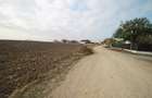 Teren intravilan - 17000 mp - zona Lazu - 1