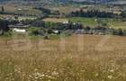 Teren extravilan,  5 hectare, Șaru Dornei - 7