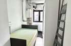 Spatiu Comercial Vasile Lascar - 10