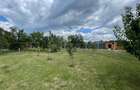 TEREN INTRAVILAN 8000 MP | PARTIAL IMPREJMUIT | PESTERE | BIHOR | - 3